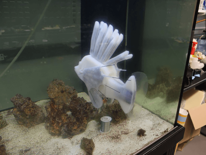 Các nhà khoa học vừa tạo ra robot cá chạy bằng “máu”